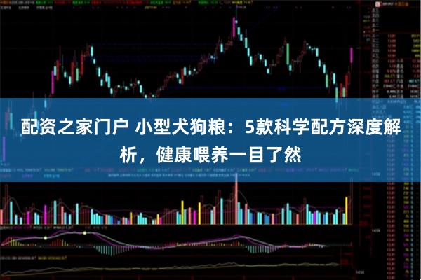 配资之家门户 小型犬狗粮：5款科学配方深度解析，健康喂养一目了然